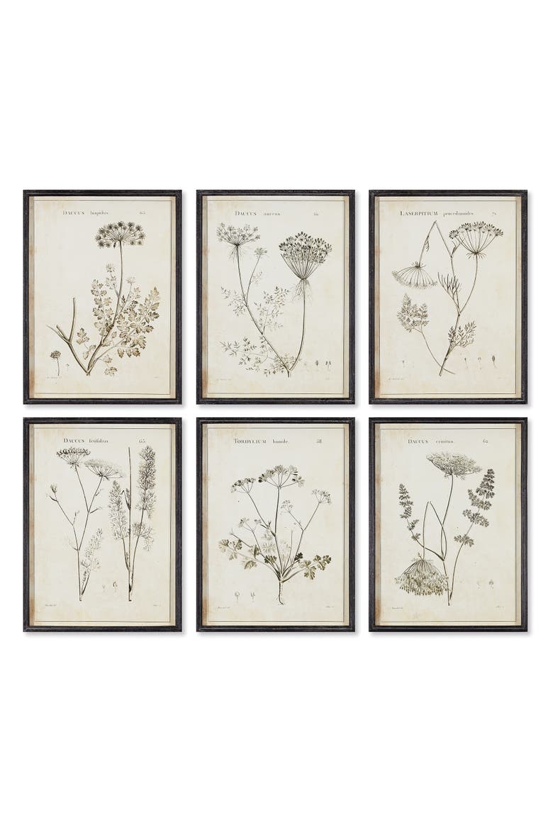 Wildflower Study Set of 6, Main, color, Green