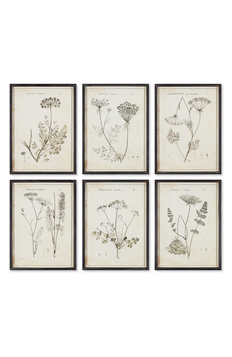 Napa Home & Garden Wildflower Study Set of 6, Main, color, 