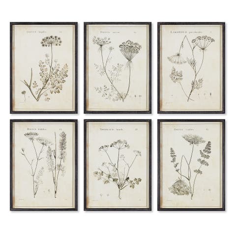 Wildflower Study Set of 6