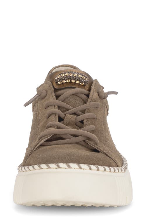Gabor Low Top Sneaker In Animal Print