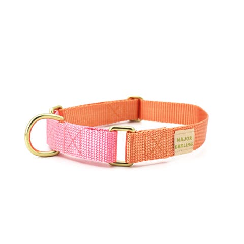 Martingale Dog Collar