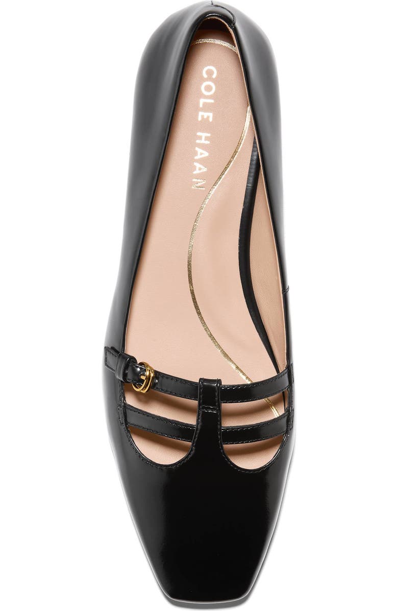 Cole Haan Bridig T-Strap Ballet Flat, Alternate, color,