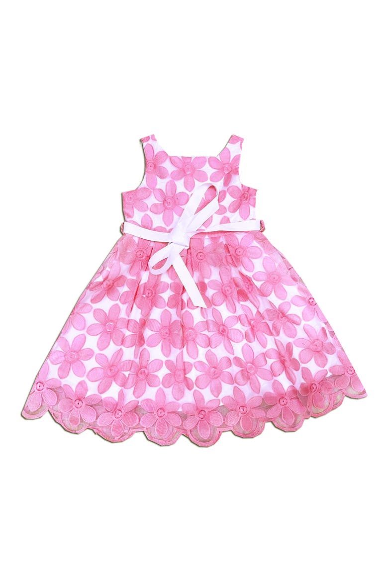Kids' Floral Embroidered Party Dress, Main, color, PINK