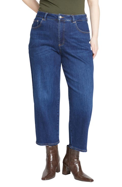 Donna Curve High Waist Straight Leg Jeans (Plus)
