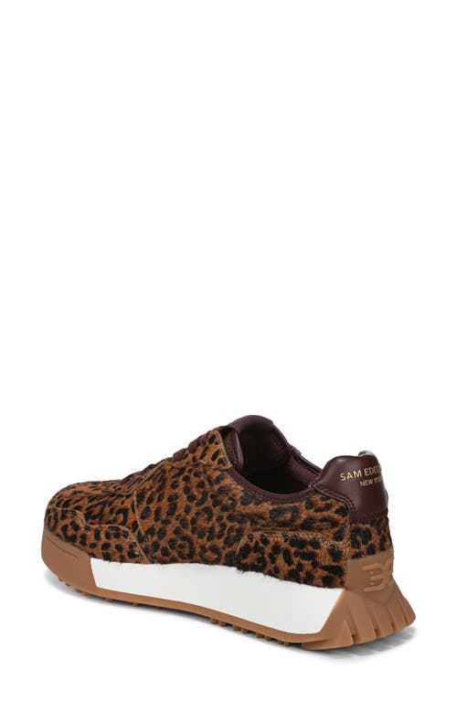Sam Edelman Langley 3 Genuine Calf Hair Sneaker In Animal Print
