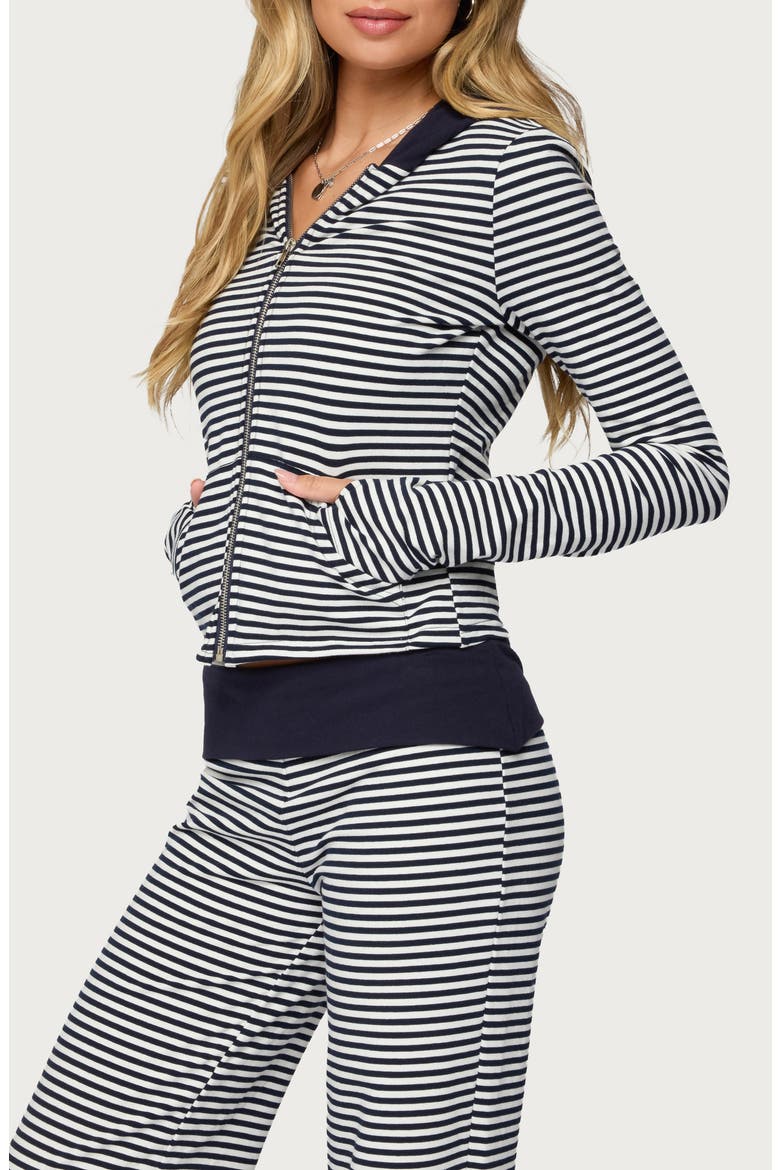 Meggy Colorblock Stripe Zip Hoodie, Alternate, color, NAVY-AND-WHITE