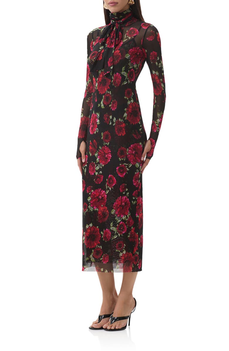 AFRM Bryony Long Sleeve Polka Dot Mesh Dress, Alternate, color, Painted Roses