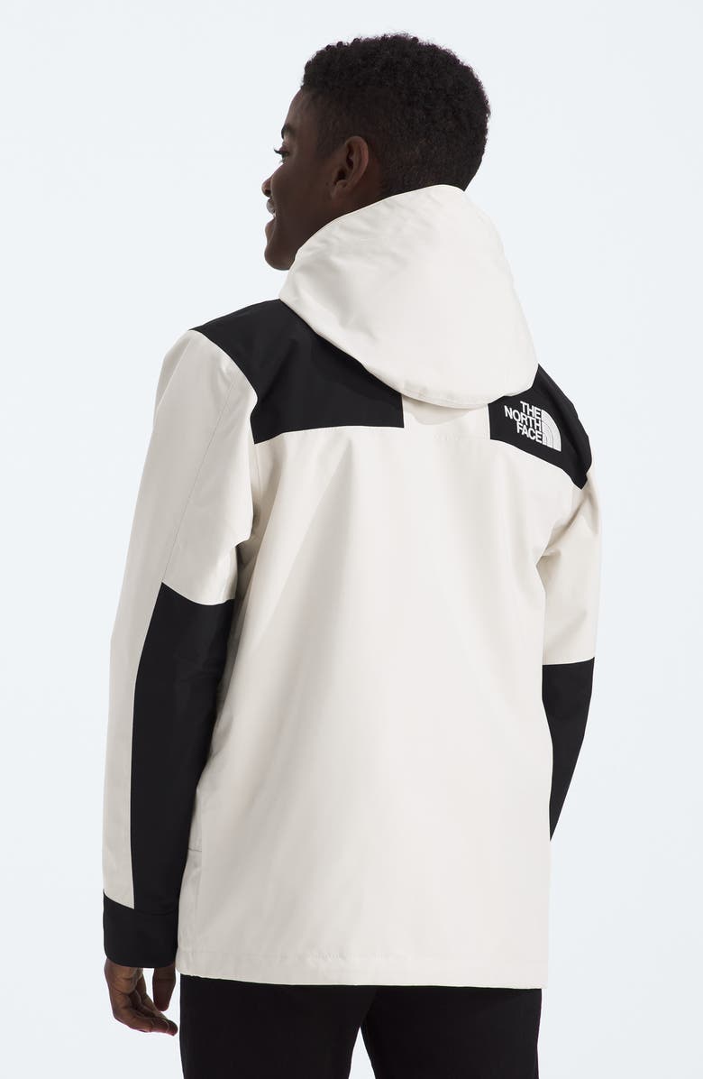 The North Face Kids' GTX Mountain Jacket, Alternate, color,