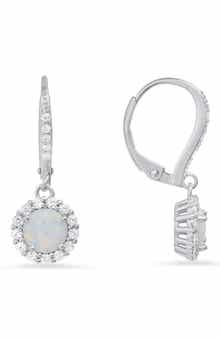 Queen Jewels Sterling Silver CZ Halo Drop Earrings