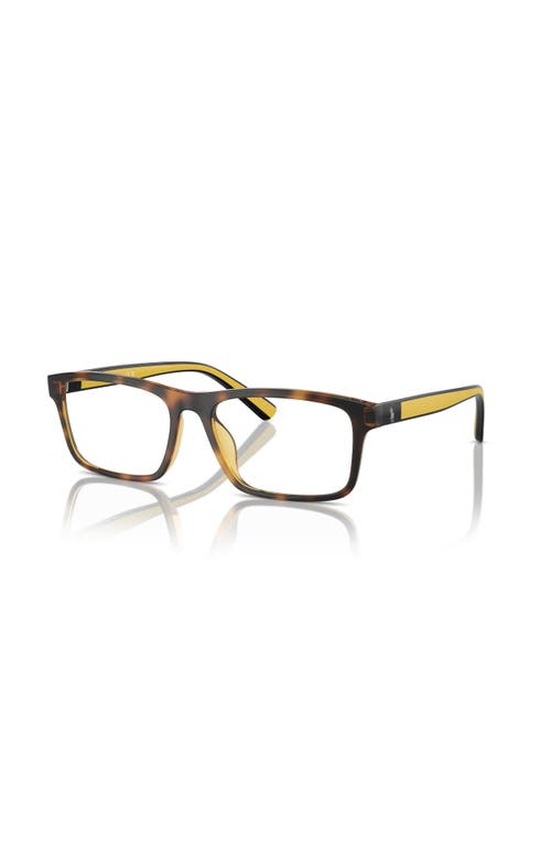 Polo Ralph Lauren 56mm Rectangle Optical Glasses In Multi