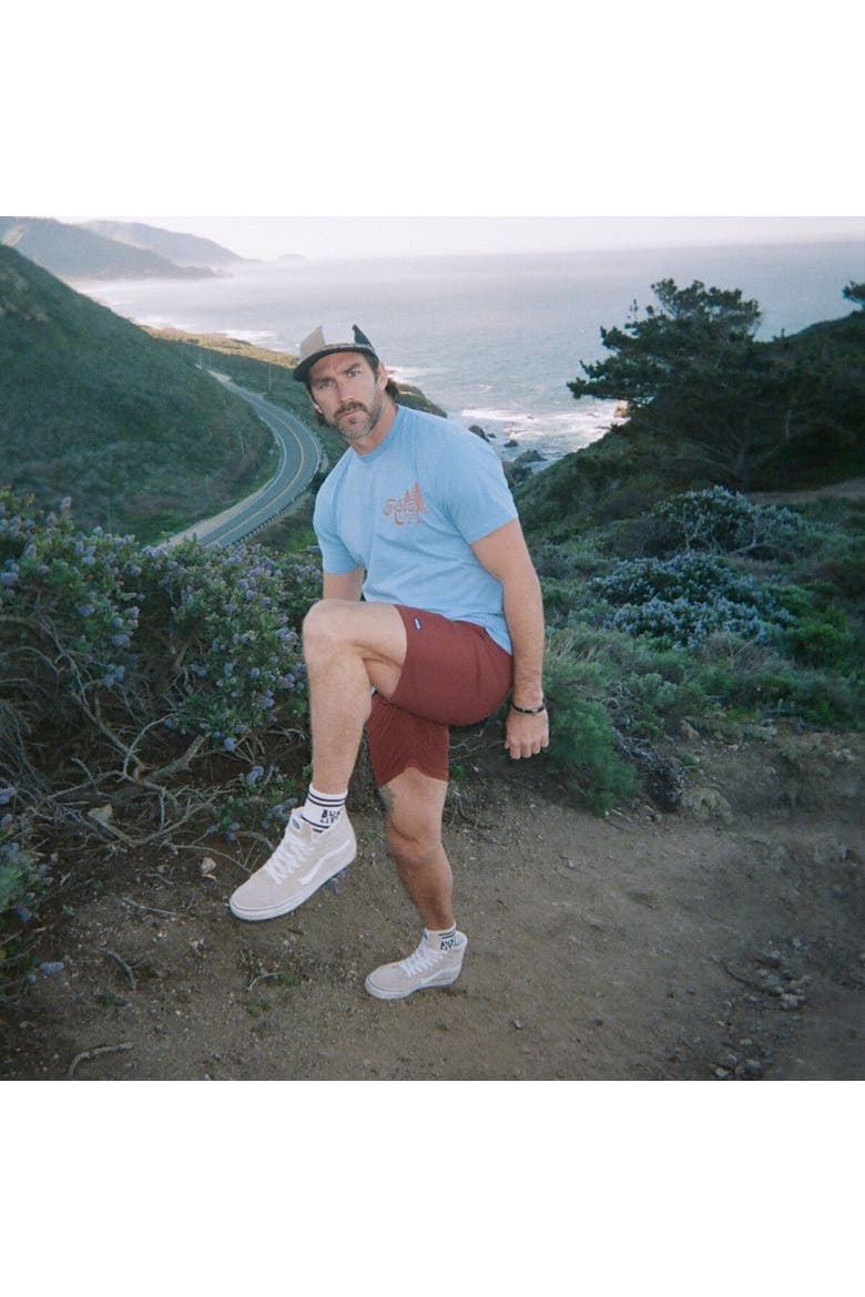 In A Pine T-Shirt - Men's, Alternate, color, Blue Bay