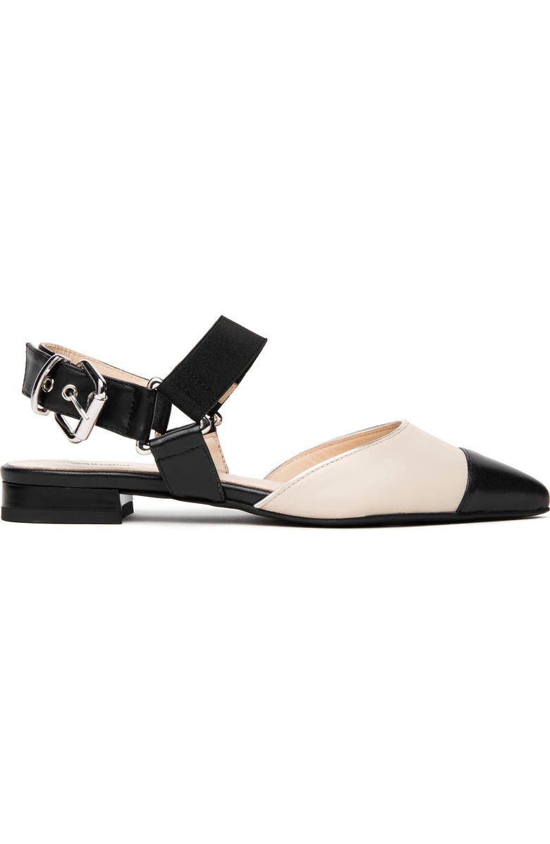 NeroGiardini Pointed Toe Flat, Alternate, color, Black/ Beige