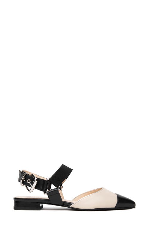 Nerogiardini Pointed Toe Flat