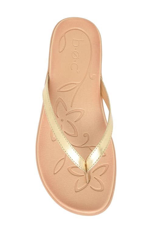 Shop B O C By Børn Hanna Flip Flop