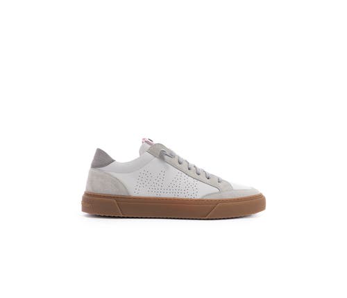 P448 Soho Sneaker In Arctic