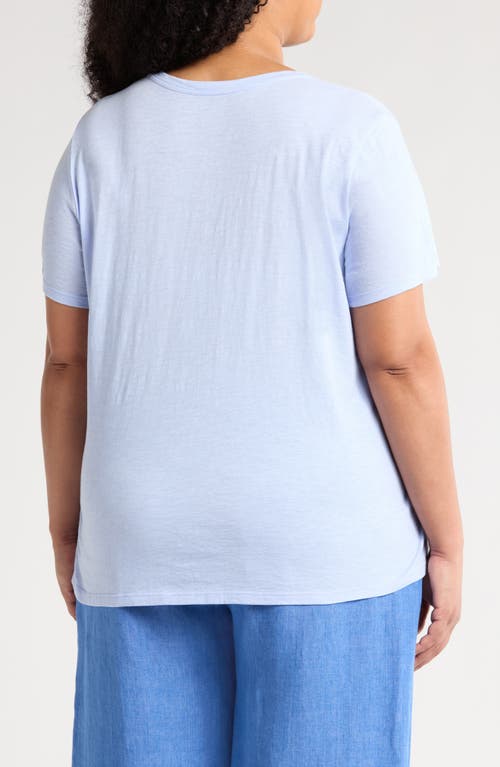 Eileen Fisher Easy V-neck Organic Cotton T-shirt In Bellflower