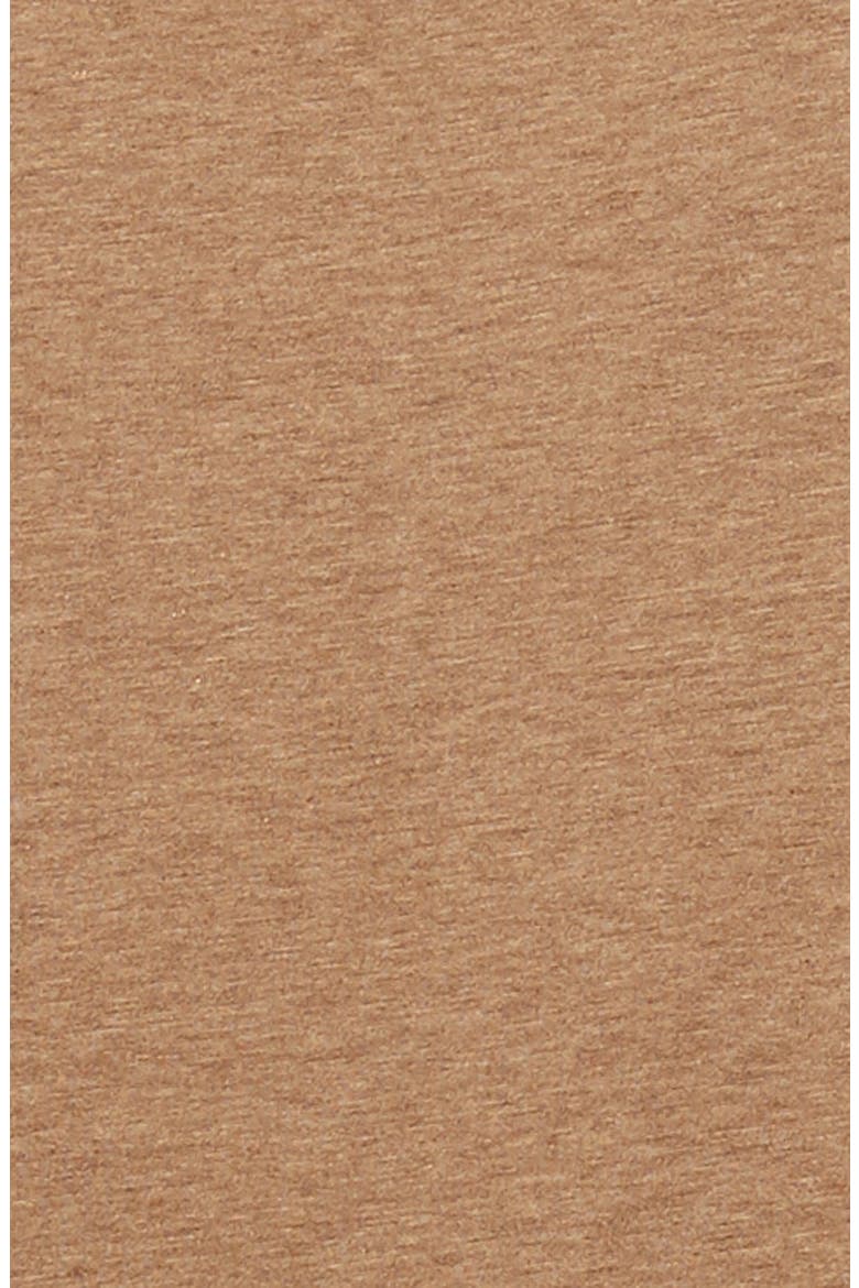 Precise Luxe Cotton Jersey Tee, Alternate, color, BARK