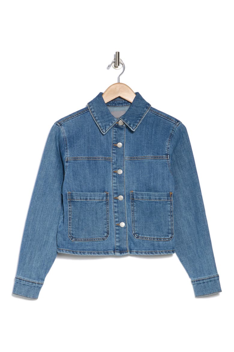 Crop Denim Jacket, Alternate, color, ANITA