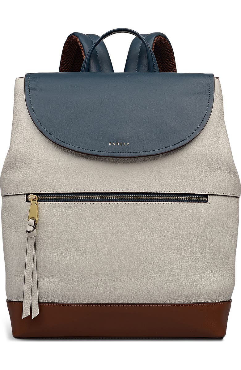 Radley Albion Street Colorblock Backpack, Main, color, Snow