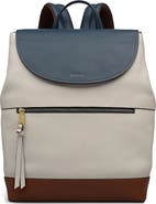 Radley Albion Street Colorblock Backpack