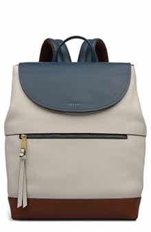 Radley Albion Street Colorblock Backpack