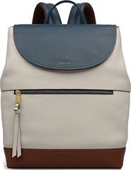 Radley Albion Street Colorblock Backpack