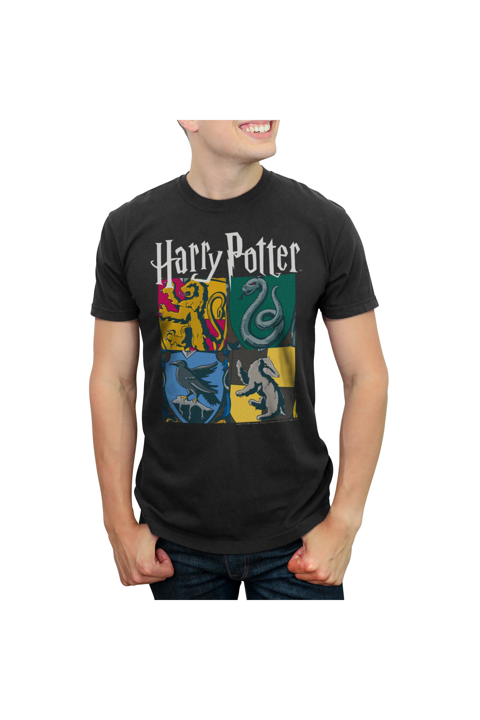 Color Callage HARRY POTTER Men's Hogwarts Houses Vintage Collage Short Sleeve Graphic ...