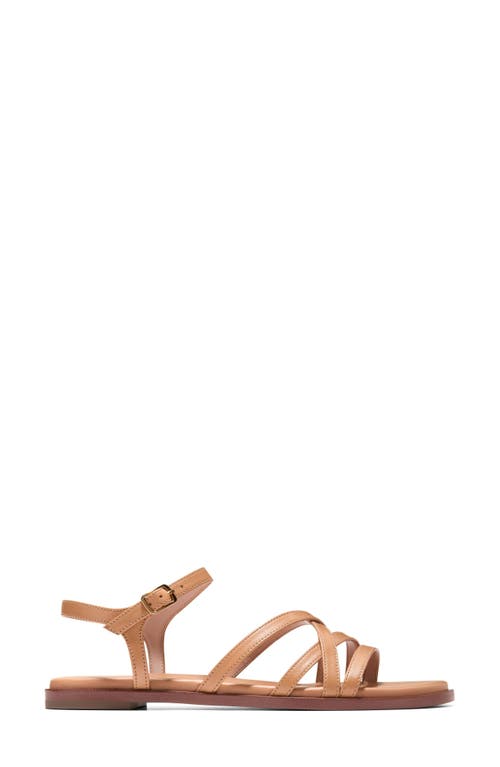 Cole Haan Flynn Strappy Sandal In Biscuit Leather