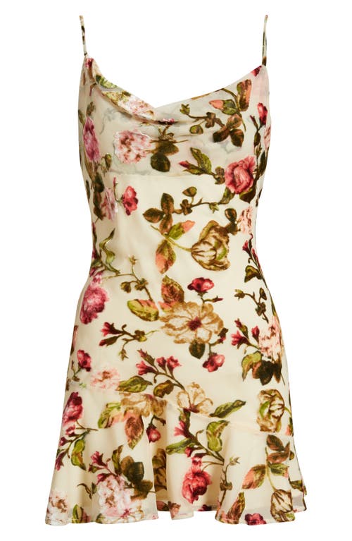 Rare London Cowl Neck Bias Cut Devoré Minidress In Neutral