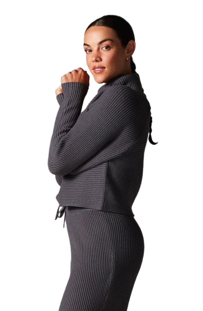 Tavi Alpine Knit Turtle Neck, Alternate, color, Glacial