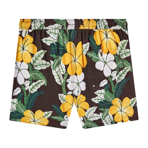Tombolo Night Bloom Swim Trunks In Brown