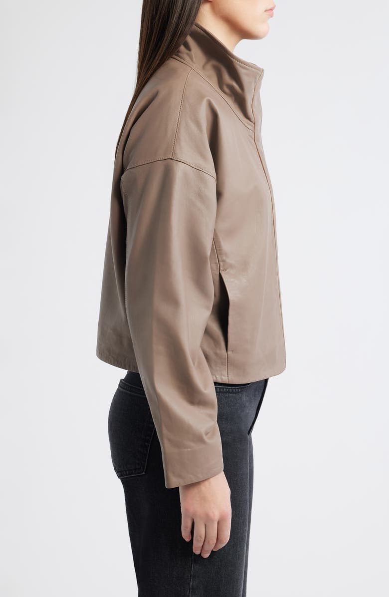 AllSaints Ryder Crop Leather Jacket, Alternate, color, Mocha Brown