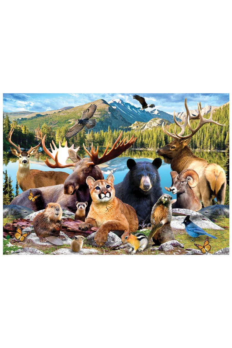 Rocky Mountain 500 Piece Puzzle, Alternate, color, Multicolor