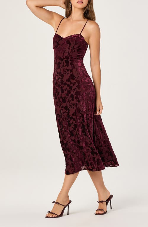 Astr The Label Underwire Burnout Velvet Cocktail Dress In Burgundy
