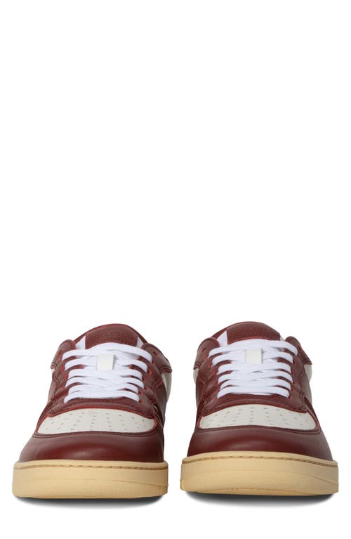 Collegium Pillar Destroyer Low Top Sneaker In Burgundy