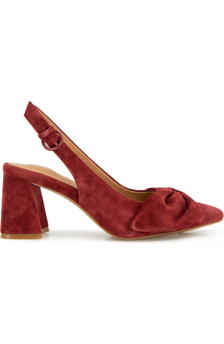 Gentle Souls Diana Slingback Pointed Toe Pump, Alternate, color, Burnt Red Suede