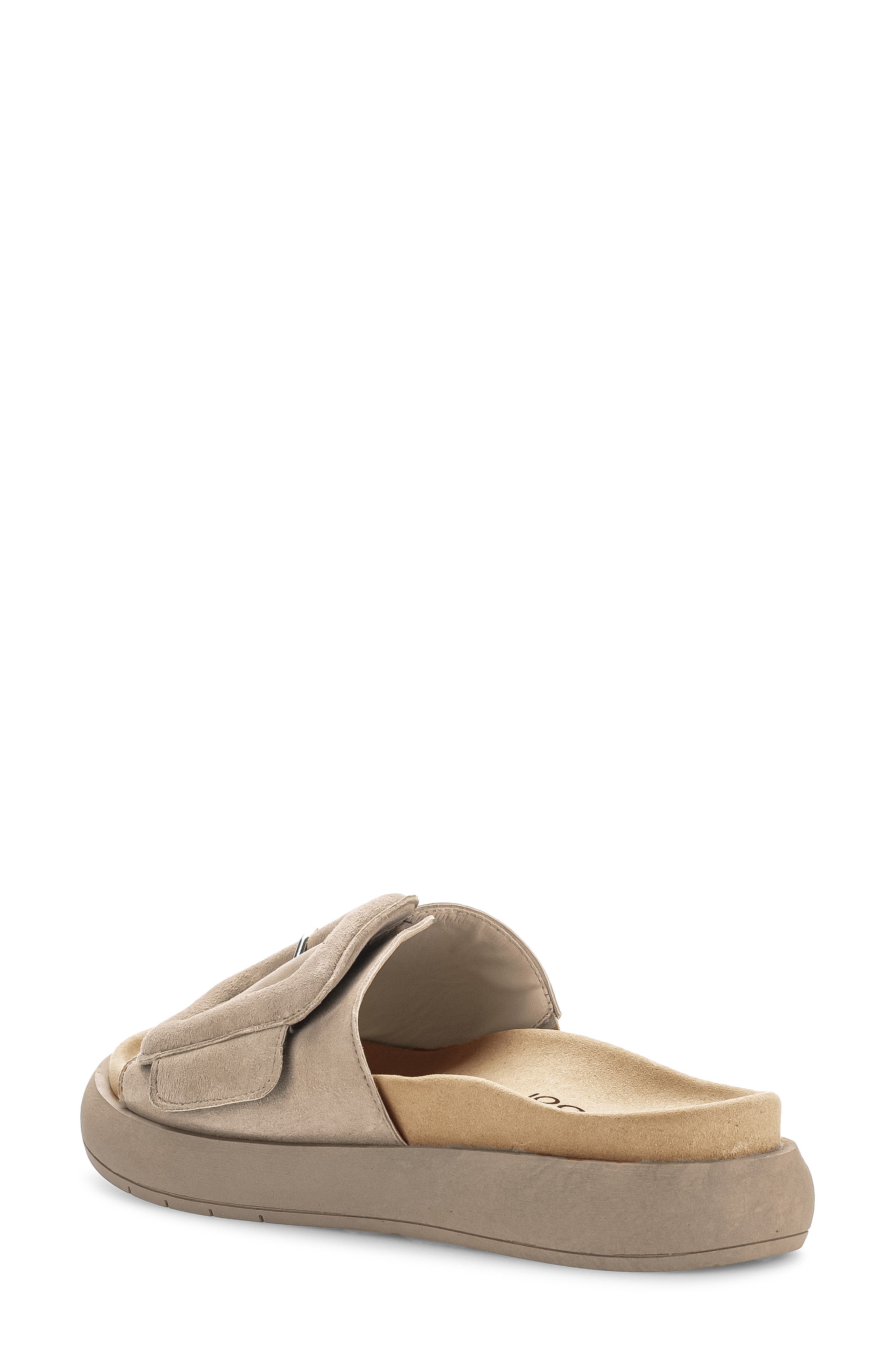 Gabor Buckled Platform Slide Sandal, Alternate, color, 