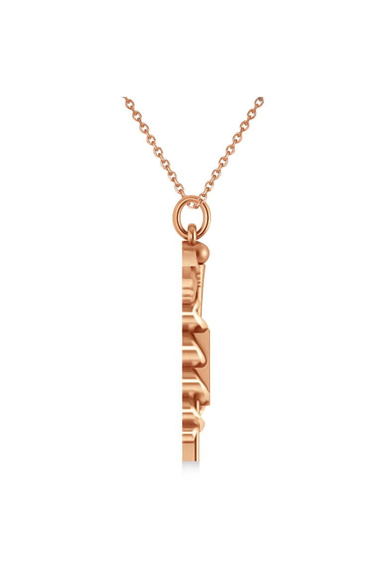 Medical RX Pharmacy Symbol Pendant Necklace 14k, Alternate, color, rose gold