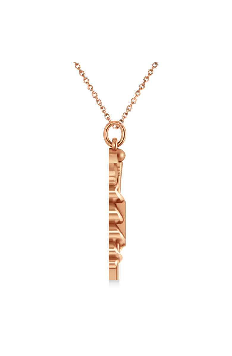 ALLUREZ Medical RX Pharmacy Symbol Pendant Necklace 14k, Alternate, color, 