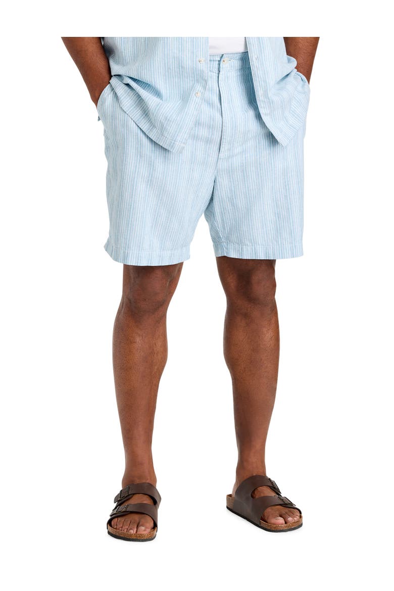 Big & Tall Striped Cabana Shorts, Main, color, BLUE MULTI
