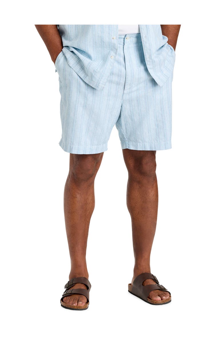 Oak Hill by DXL Big & Tall Striped Cabana Shorts, Main, color, Blue Multi