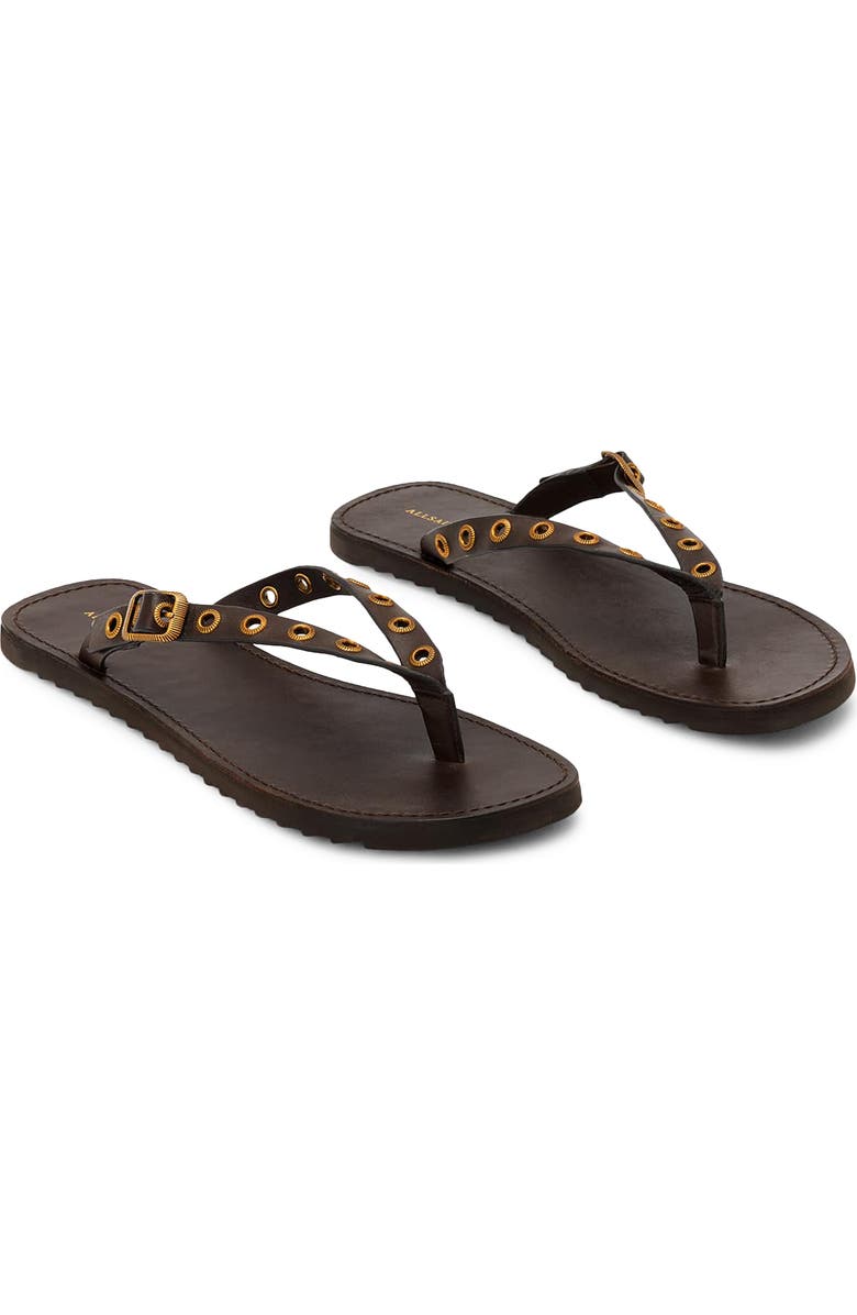 AllSaints Sydney Eyelet Flip Flop, Main, color, Dark Brown