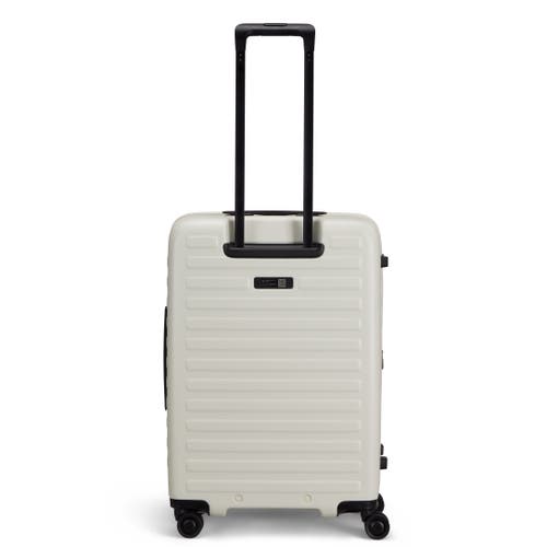 Lojel Cubo Medium Check In Sand