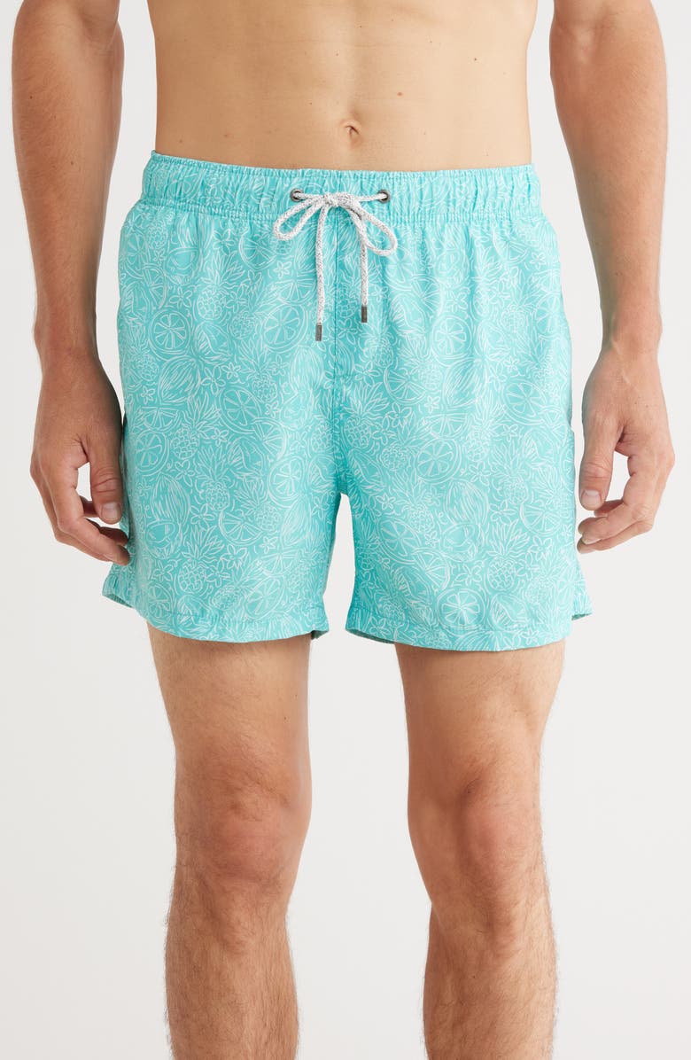 Vintage Summer Volley Swim Shorts, Main, color,