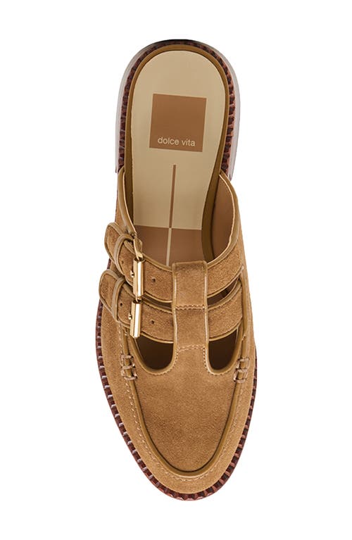 Dolce Vita Haydee Double Buckle Mary Jane Mule