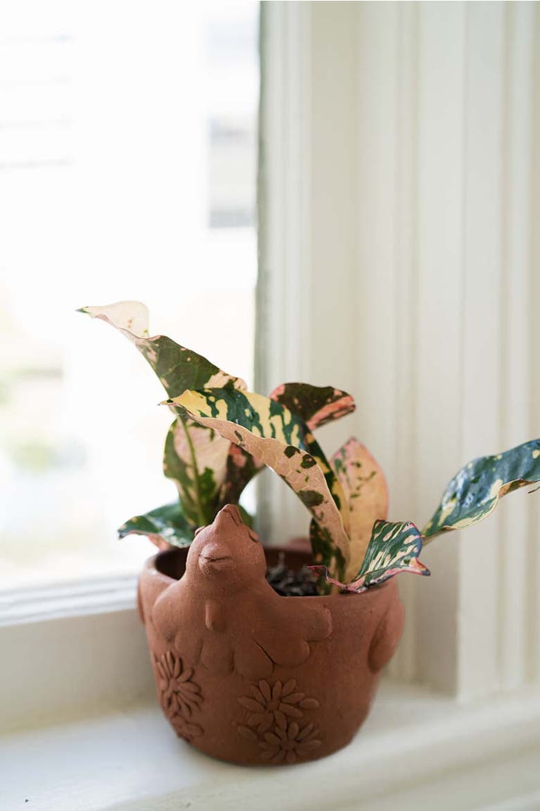 Rakshana Plant Pot, Alternate, color, Chicken