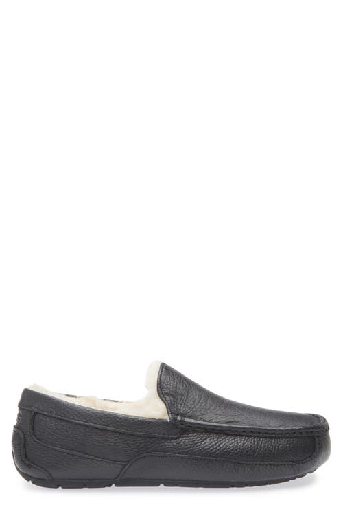 Ugg(r) Ascot Slipper In Black