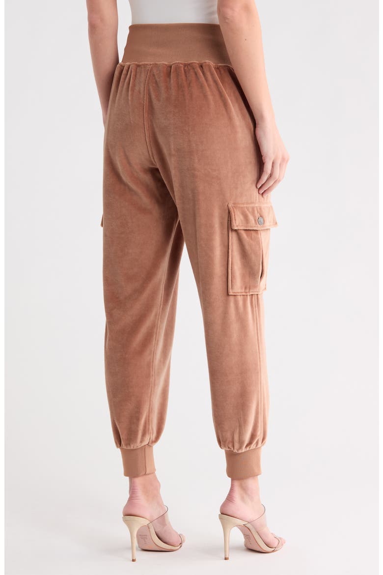 Giles Velour Ankle Pants, Alternate, color, MOCHA