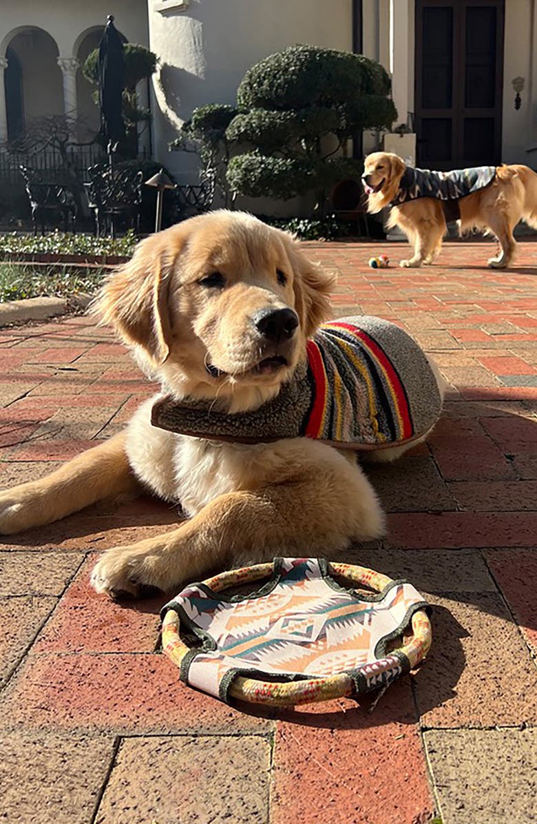 Pendleton Flying Disc Rope Dog Toy, Alternate, color, Beige