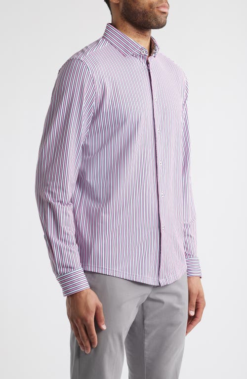 Stone Rose Trim Fit Techno Stretch Stripe Performance Button-up Shirt In Med Pink